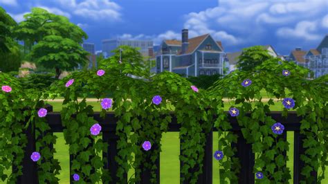 Canon eos digital rebel xti, shutter speed: Mod The Sims - Vines for Fences-Morning Glory and Seasons ...