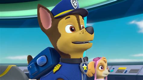 Paw Patrol Denies Being Canceled After White House Fell For Meme