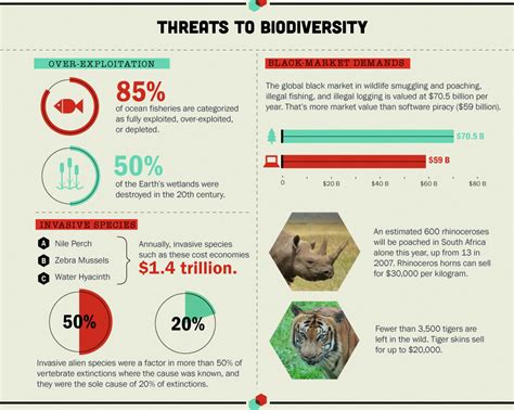C U B E Threats To Biodiversity Infographic World Bank