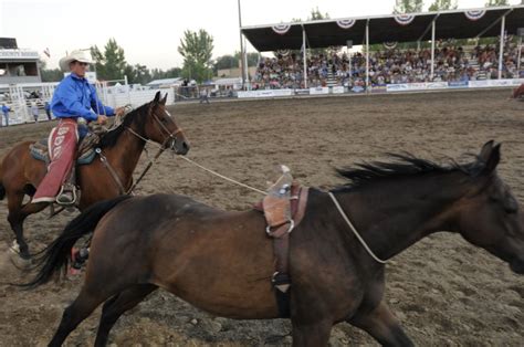 owyhee county fair and rodeo photos