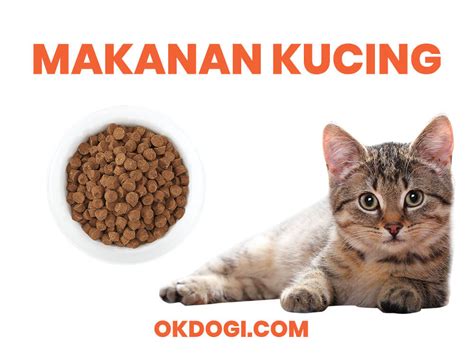 Makanan kucing terbaik untuk kucing kesayangan anda? Pilihan Makanan TERBAIK untuk Kucing + Harga Terbaru