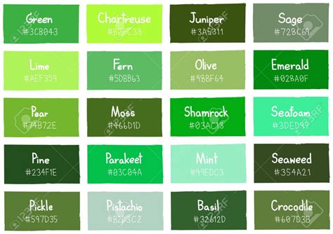 Stock Vector Green Color Chart Green Color Names