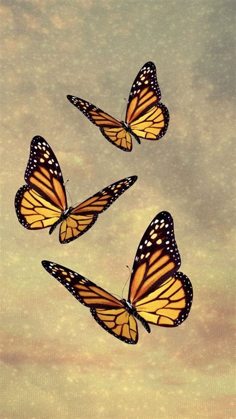 Butterfly Clouds In 2020 Butterfly Wallpaper Iphone Gold Glitter
