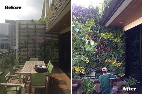 Planted Wall Vertical Garden Wall For Bangkok Condo Thai Garden Design