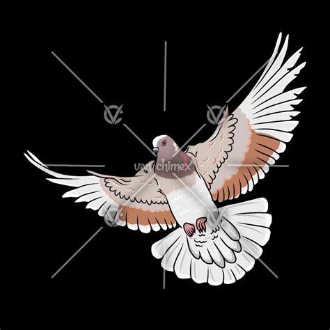 Logo Burung Merpati Vector Logo Design Art Logo Online Shop Vector Logo