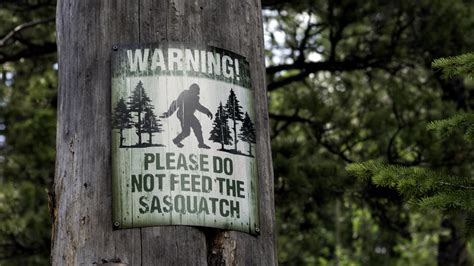 Bigfoot What You Need To Know When Hunting For Sasquatch