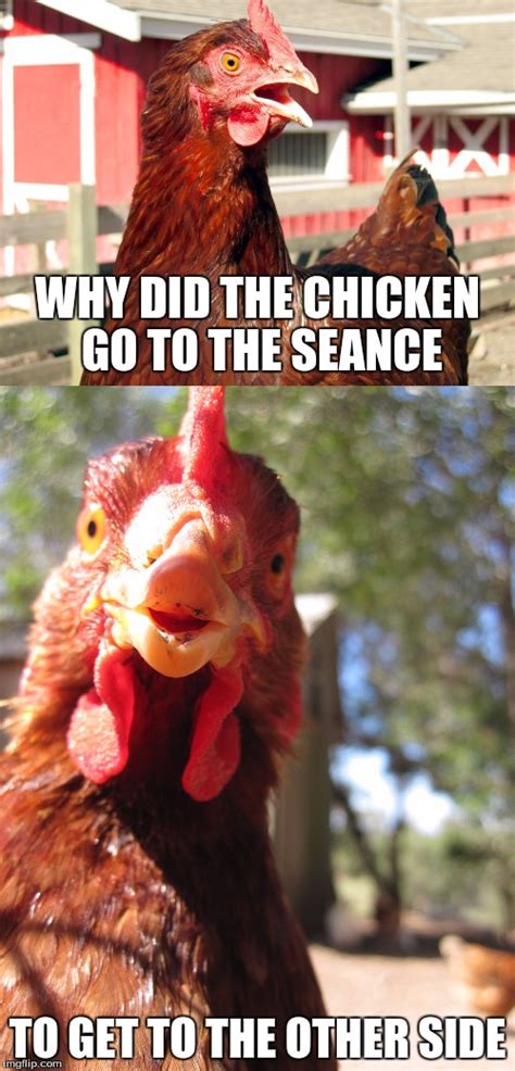 Bad Joke Chicken Meme