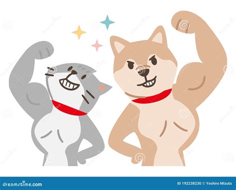 Big Muscular Pitbull Dog Vector Illustration 103511896