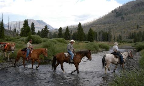 Yellowstone Horseback Riding Horse Trail Rides Alltrips