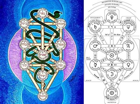 The Jewish Tree Of Life With Kether Crown At The Top Kether Is