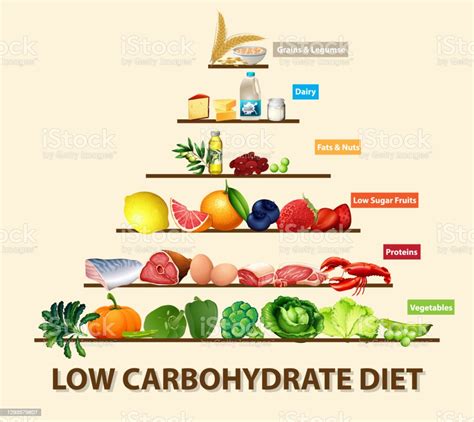 Vetores De Diagrama De Dieta Com Baixo Teor De Carboidratos E Mais