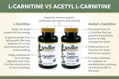 Whats The Difference Between L Carnitine And Acetyl L Carnitine Health Health And Nutrition