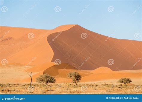 African Landscape Beautiful Red Sand Dunes And Nature Of Namib Desert