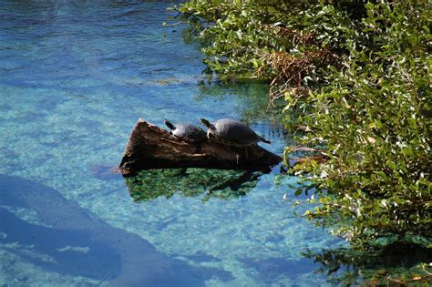 6 Cool Swimming Holes To Discover In Florida