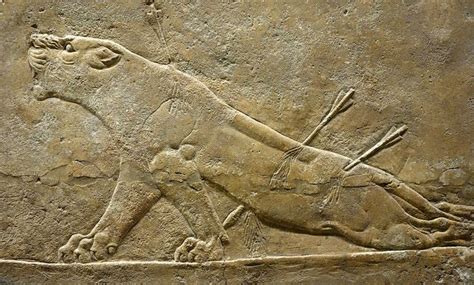 Assyrian Art Ashurbanipal Hunting Lions Smarthistory