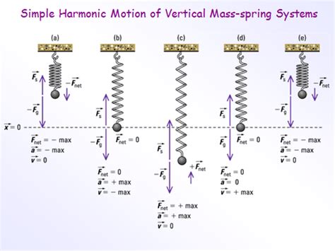 Unit 5 Oscillatory Motion And Mechanical Waves Physics Project