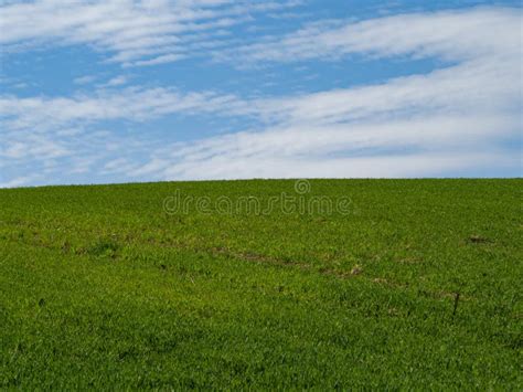 Countryside Spring Landscape Of Plowed Fields Green Grass And Blue Sky