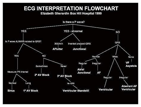 Ecg Interpretation Flow Chart Nurse Nursing School Ekg Interpretation