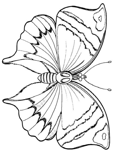 Download butterfly| coloring pages kids and use any clip art,coloring,png graphics in your website, document or presentation. Butterfly Coloring Pages for Kids, 100 Images. Print for Free!
