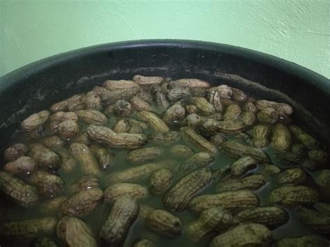 Masukkan jagung ke dalam inner noxxa. Blog Cikgu Zahidi: (Masak) Rebus kacang tanah berkulit ...