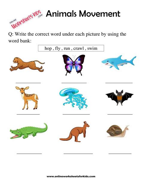 Animals Movement Worksheets For 1st Grade 1