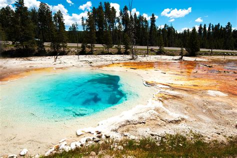 Yellowstone And Grand Teton Photo Tour — Bluehour Photo Ventures