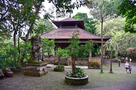Ubud Monkey Forest In Bali Sanctuary Of Grey Macaques In Ubud Go Guides