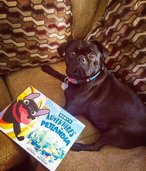 Picture books for beginners | how to make a childrens book. Remy modelling his unique, personalised pet book Get your ...