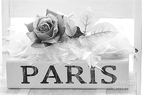 Paris Roses Books Photography Dreamy Romantic Paris Black White Books