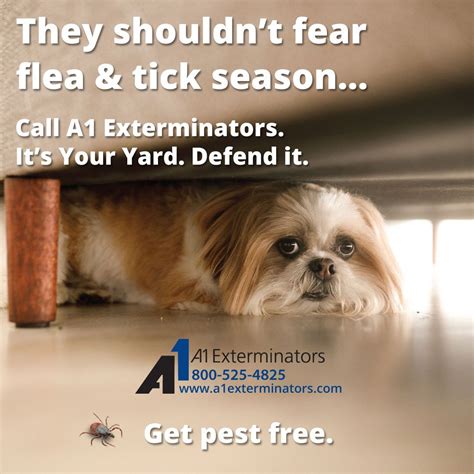 They Shouldnt Fear Flea And Tick Season Call A1 Exterminators Its