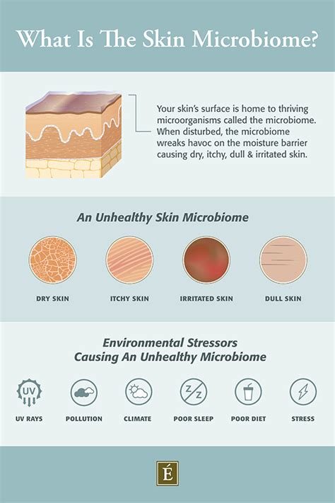 What Is The Skin Microbiome Eminence Organic Skin Care