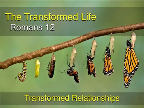 Ppt The Transformed Life Powerpoint Presentation Free Download Id