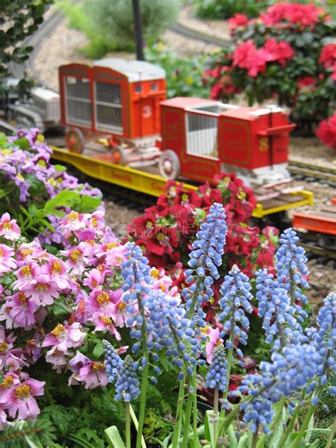 Flower Train Stock Image Image Of Track Blue Spring 31166423