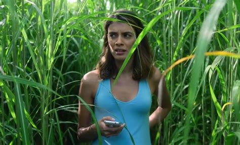 It's adapted from a novella by stephen king and his son joe hill. In The Tall Grass Review: A Weak Stephen King Adaptation