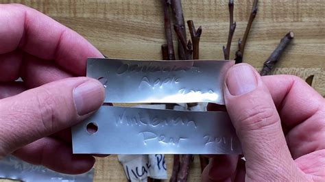 Diy Easy Long Lasting Embossed Aluminum Plant Labels Tree Tags