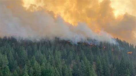 Supporting Spokane County During Wildfires Extend A Helping Hand With Your Donation Twinlow