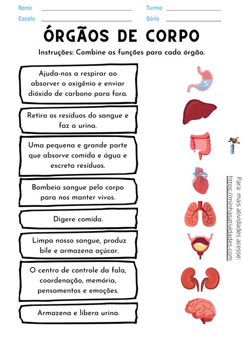 Atividades Sobre Rg Os Do Corpo Humano Para Imprimir