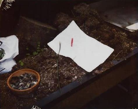 Just weeks prior to his death, she asked one of her attorneys to get the meanest, most. New Kurt Cobain Death Scene Photos Released By Seattle ...