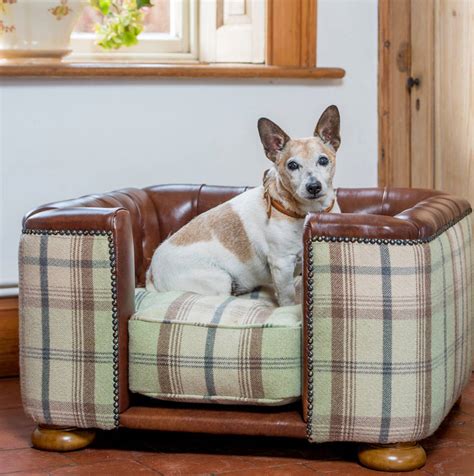 Burghley Buttoned Chesterfield Dog Bed By Lords And Labradors