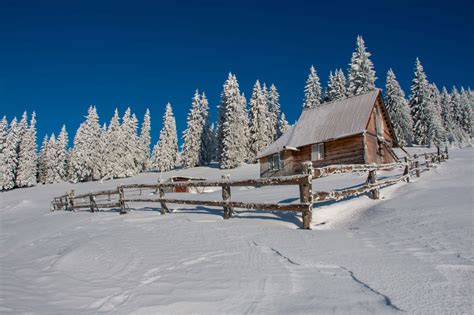 Winter Picture 2 Romania