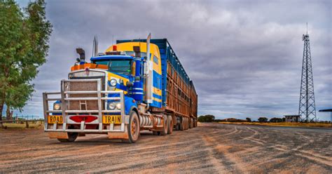 Our team loves animals as much as you do and will care. Review into Heavy Vehicle Law underway | Infrastructure ...