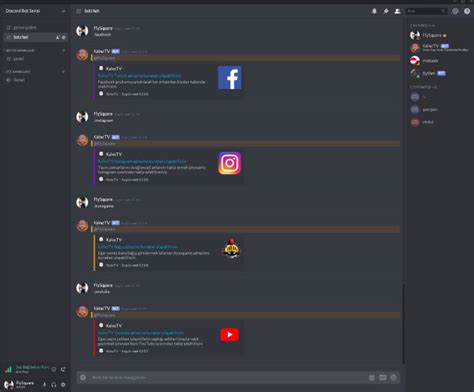 Code A Professional Bot For Your Discord Server By Flysquare Fiverr
