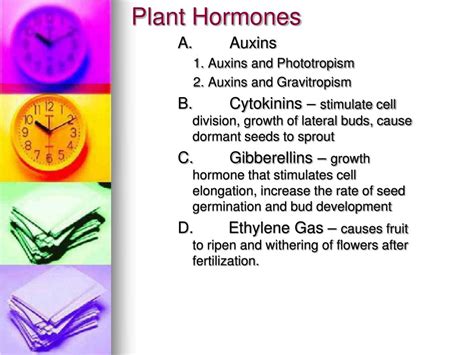 Plant hormone responsible for cell division. PPT - The Plant Kingdom (Part II) PowerPoint Presentation ...
