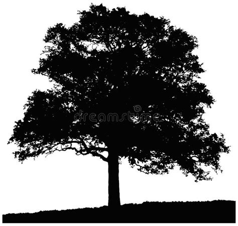 Oak Tree Silhouette Vector Illustration