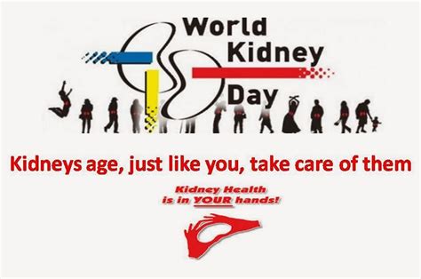 World kidney day is observed annually on the 2nd thursday in march. World Kidney Day 2019: Quotes History Wiki Slogans Posters ...