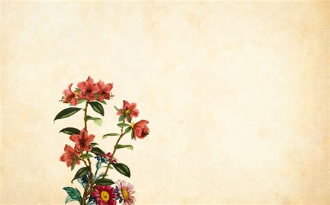 Gambar Bunga Kertas Vintage Mawar Buket Gugus Dekorasi