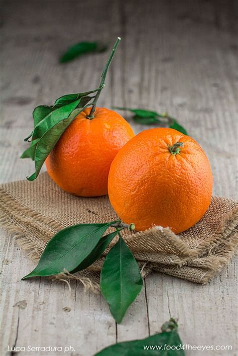 Orange Fruit Art Photography