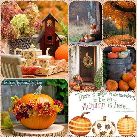 We did not find results for: Pin by Amy Lynn on Thanksgiving Collage | Autumn ...