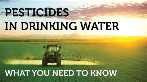 Pesticides In Drinking Water 5 Things To Know Youtube