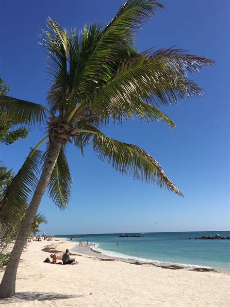 Fort Zachary Beach Key West Florida | Key west beaches, West florida, Key west florida
